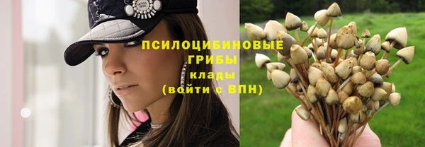 дживик Балахна
