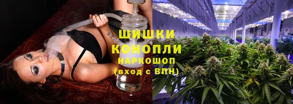 мдпв Грязовец